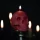 skull-candle-red-the-blackened-teeth-gothic-candle-2